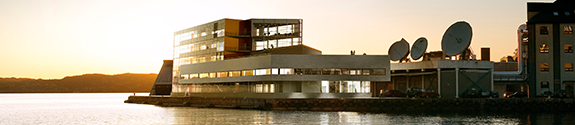 Viz Building